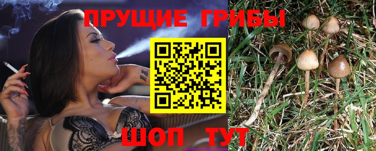 Галлюциногенные грибы мицелий  Вход с VPN  Армавир 