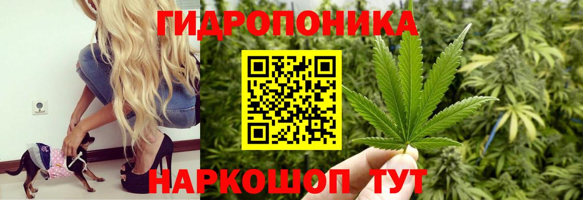 Марихуана Amnesia  Вход с VPN  Марихуана план  Армавир 